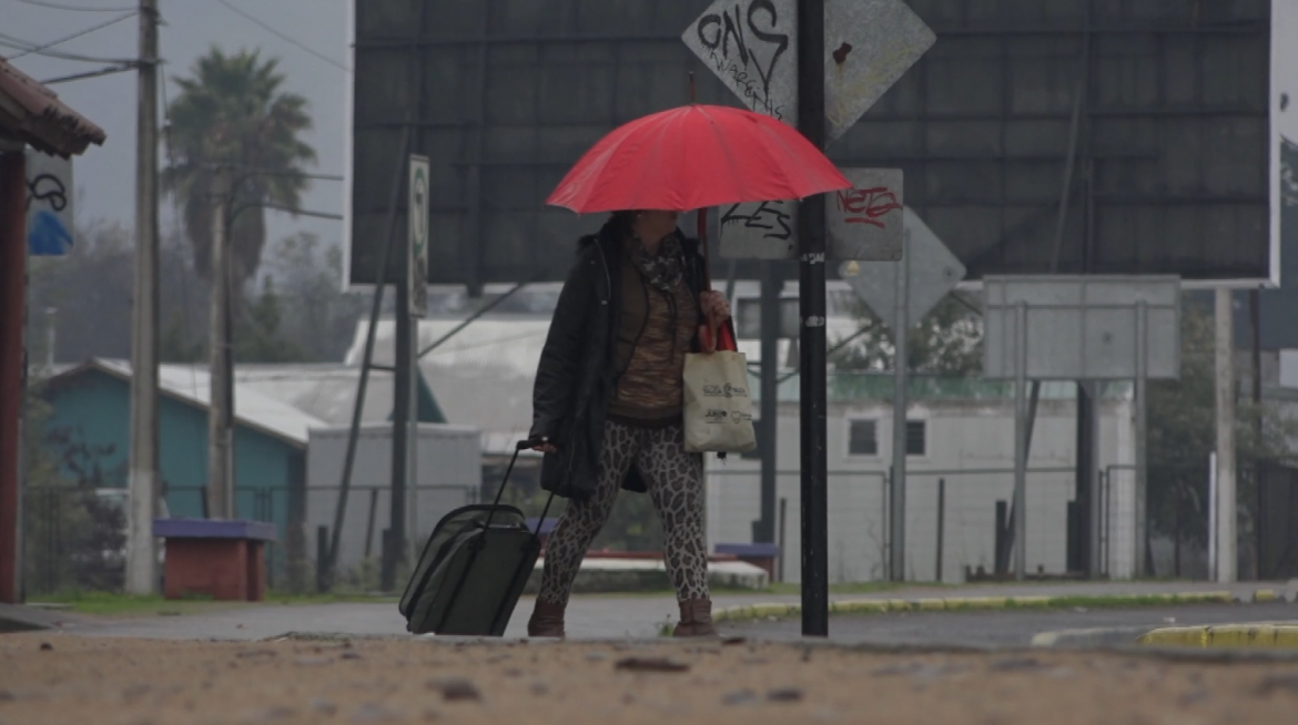 Alerta para el Maule por lluvia asociada a rachas de viento de hasta 70 km/h