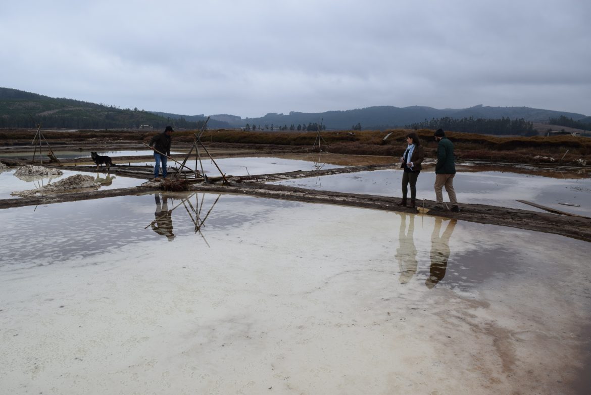 Gobierno Regional lideró Mesa de la Sal en Vichuquén