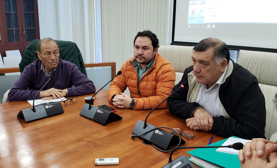 Consejo Regional anuncia posible Planetario para la Región del Maule