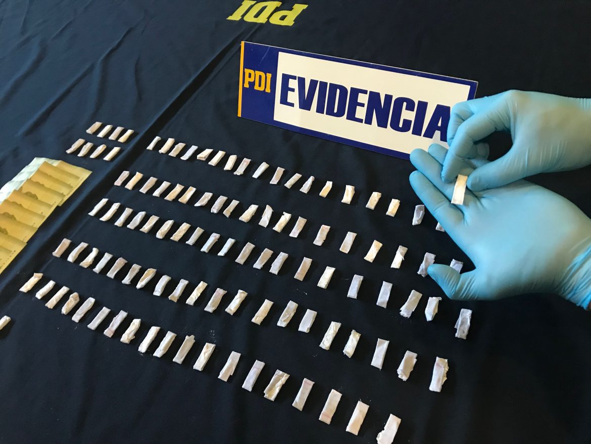 PDI desbarata foco de microtráfico en Curicó gracias a Denuncia Seguro