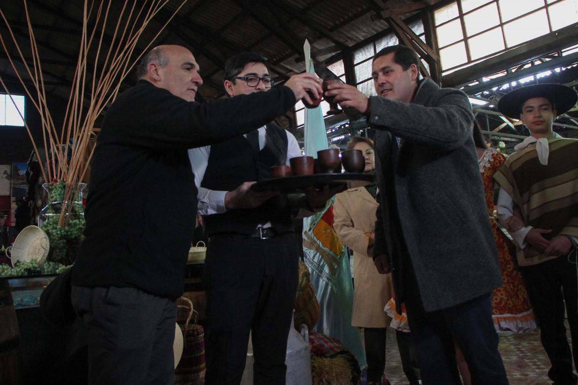 Este sábado se vivirá la décima versión de la Fiesta del Vino y el Navegao en Linares