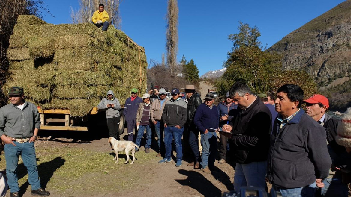 400 agricultores de Colbún recibirán fardos gracias al Programa de Alimentación Invernal