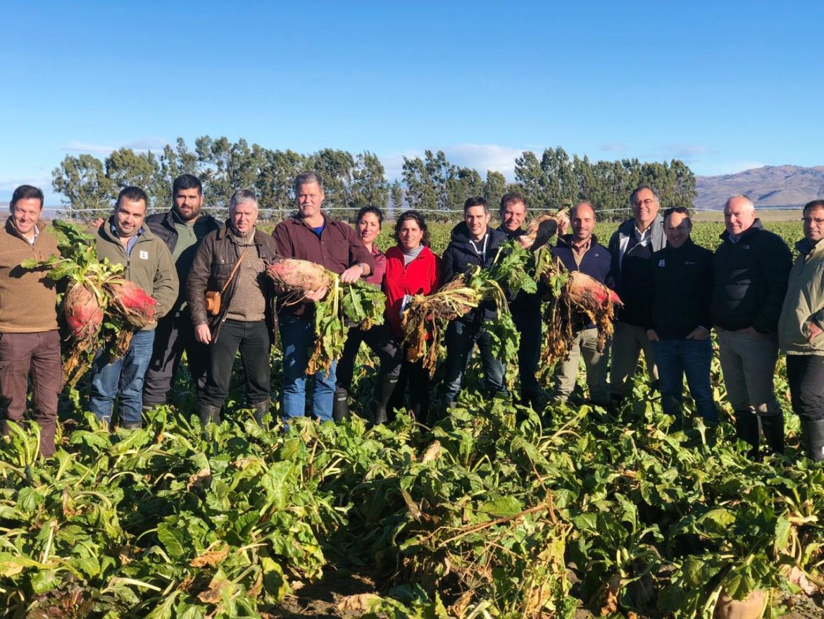 ALCALDE DE LONGAVÍ PARTICIPA DE GIRA TÉCNICA EN NUEVA ZELANDA PARA CONOCER UTILIZACIÓN DE REMOLACHA EN GANADERÍA