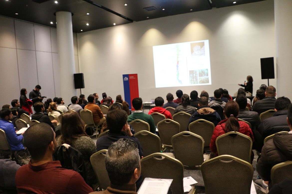 Seremi de Salud actualizó información de hanta para médicos de la región