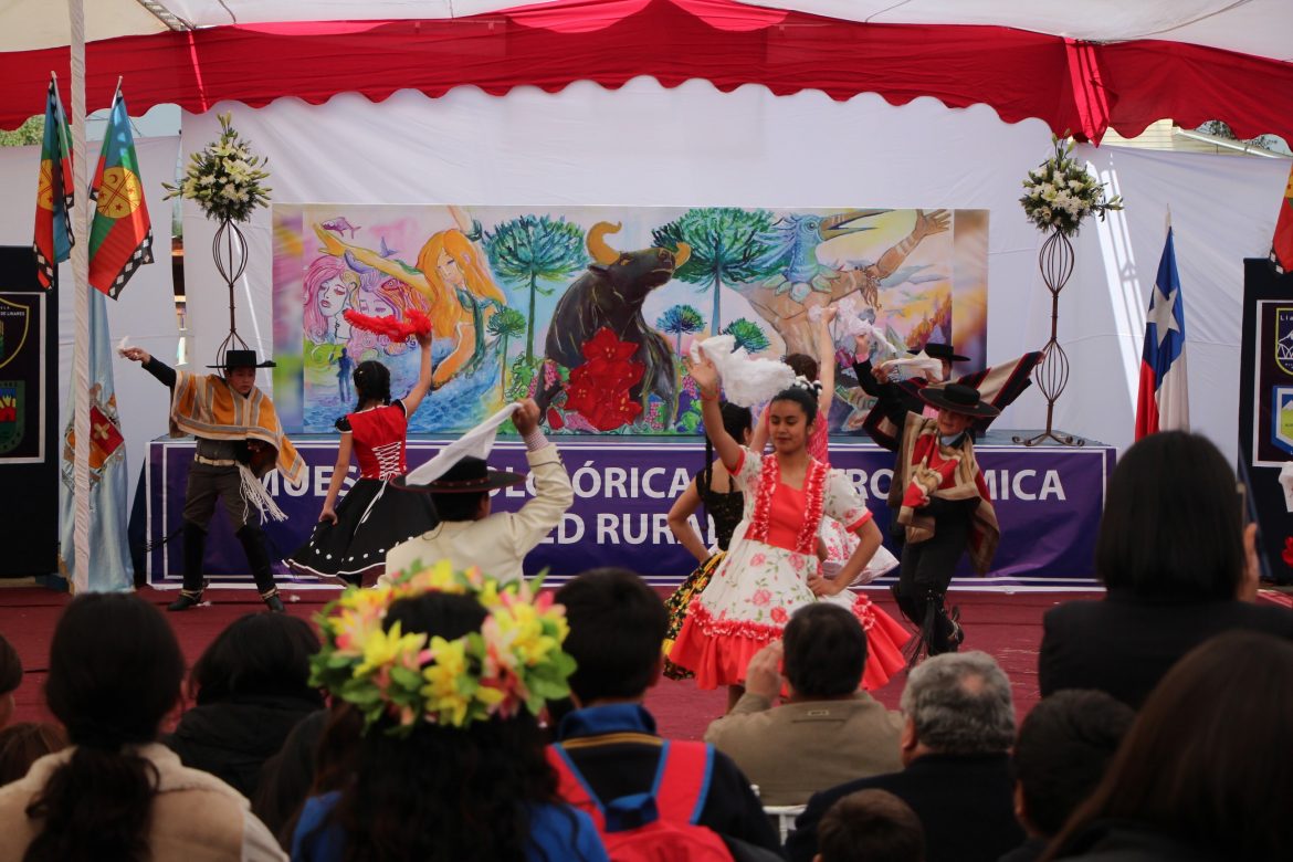 Linares   “Mitos y leyendas de Chile” marcan VI muestra de Escuelas Rurales