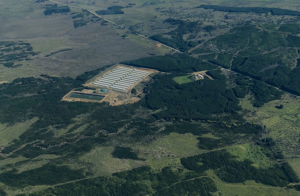 Corte de Talca condena a Municipalidad de San Javier  por actuar arbitrario e ilegal en contra de Coexca S.A.