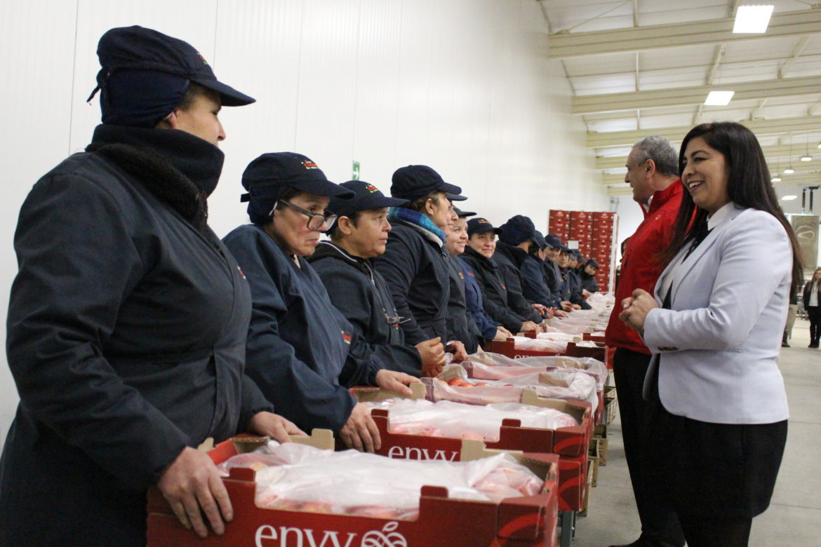 HASTA EL 29 DE NOVIEMBRE SE PUEDE COBRAR BENEFICIOS PARA MUJERES Y JOVENES QUE ENTREGA SENCE