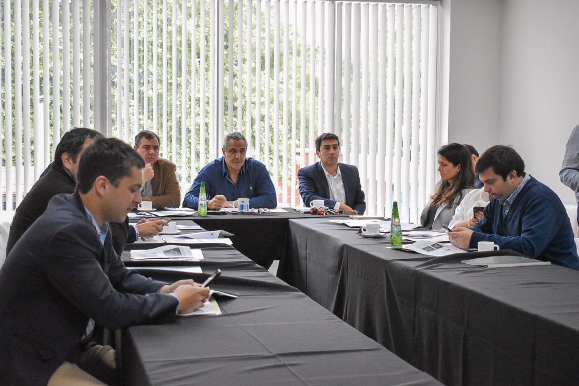 Comisión de Evaluación Ambiental rechaza proyecto avícola en Molina