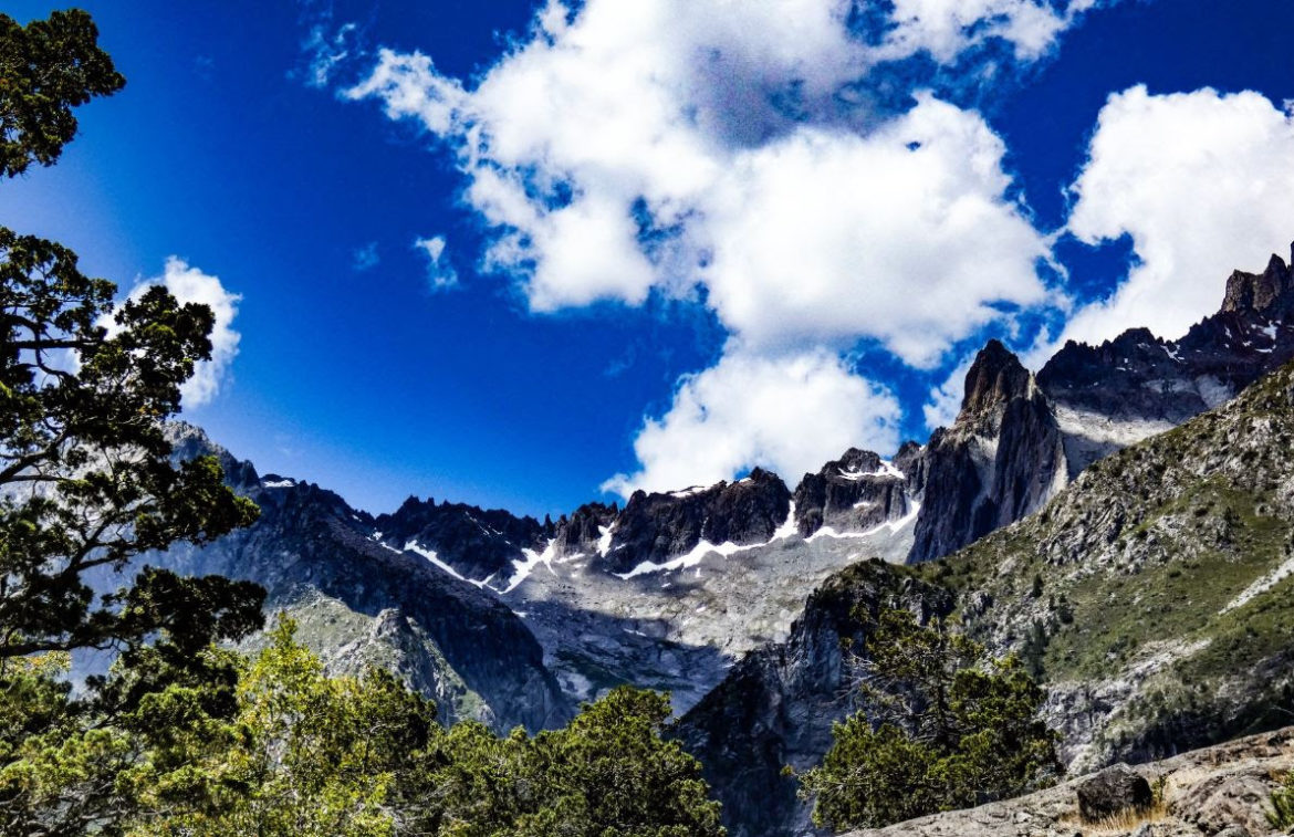 Exitoso proyecto se desarrolló en Parque Cordillera Los Quemados de Linares