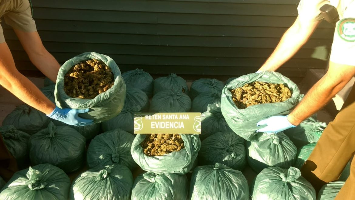 CARABINEROS INCAUTA 39 KILOS 75 GRAMOS DE MARIHUANA EN EL SECTOR DE SANTA ANA DE LOBOS.