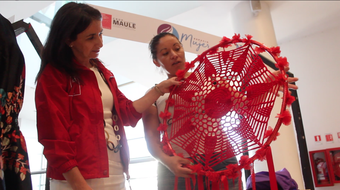 la Subsecretaria del Ministerio de la mujer y la equidad de género Carolina Cuevas nos visitó en la Región del Maule.