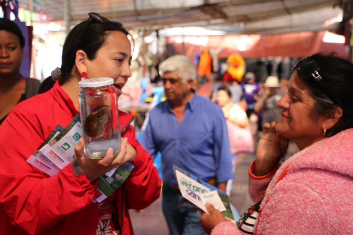Seremi de Salud reitera prevenir el hanta esta temporada