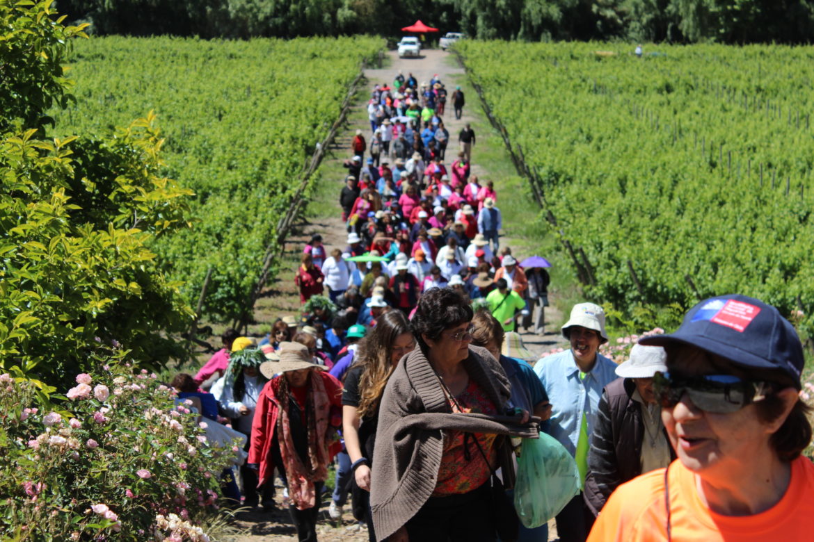SE INICIA CONCURSO PÚBLICO FONDEPORTE 2020