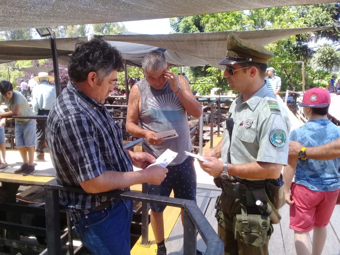 CARABINEROS PREVIENE EL DELITO DE ABIGEATO EN SAN JAVIER.