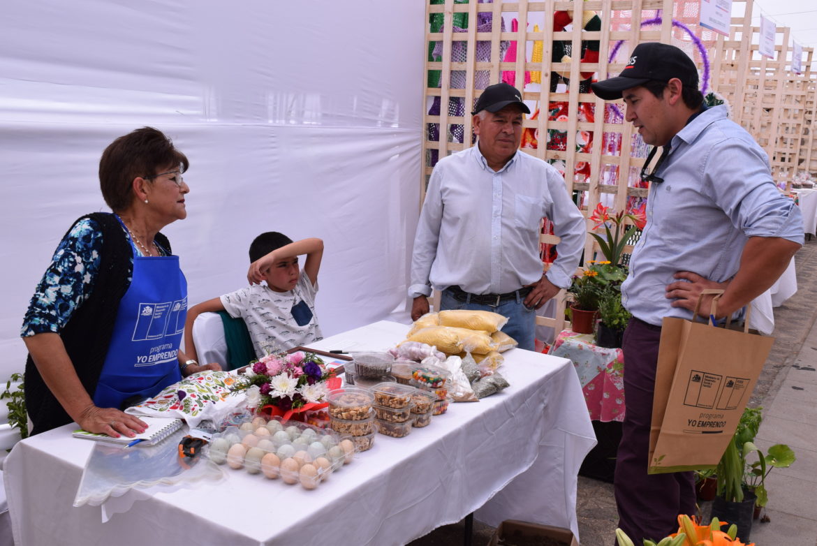 Emprendedores y expositores FOSIS animarán una masiva e imperdible feria en Iloca