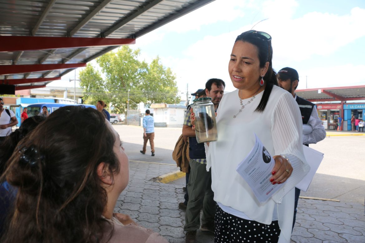 Seremi de salud confirma dos casos de hantavirus en el Maule