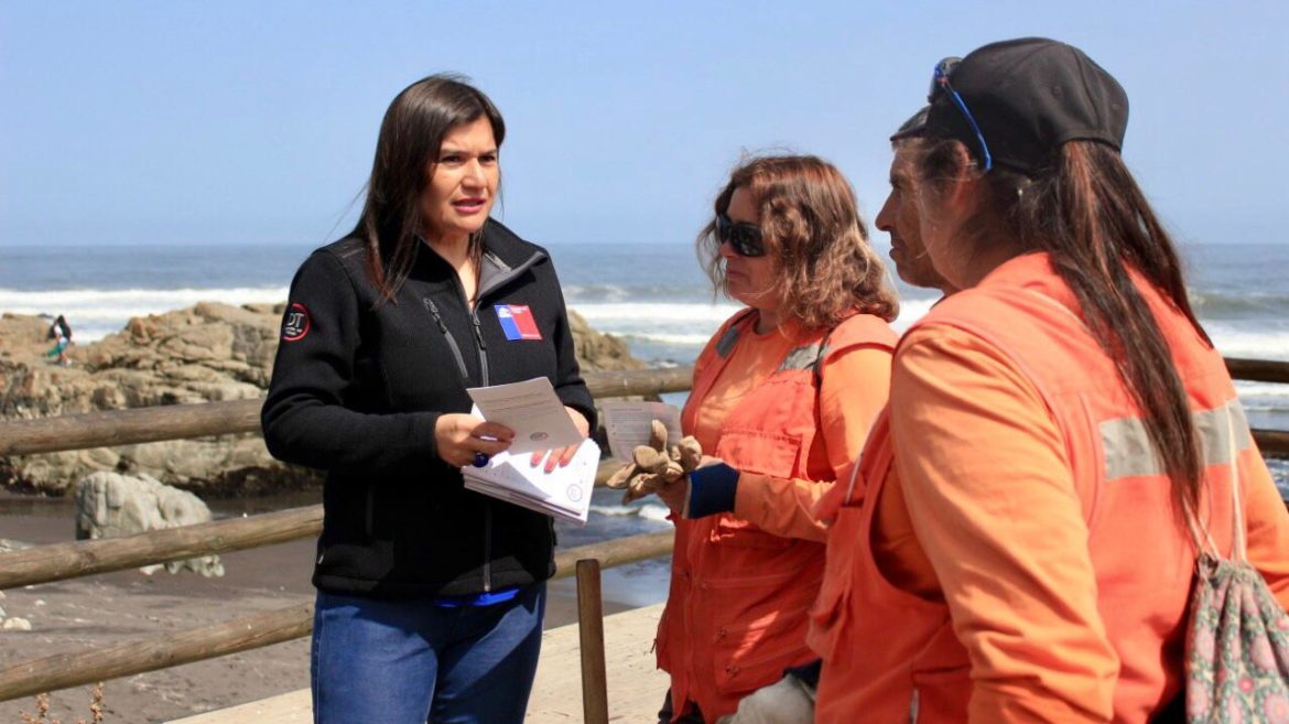 Comenzaron las fiscalizaciones al sector del turismo en la Región del Maule.