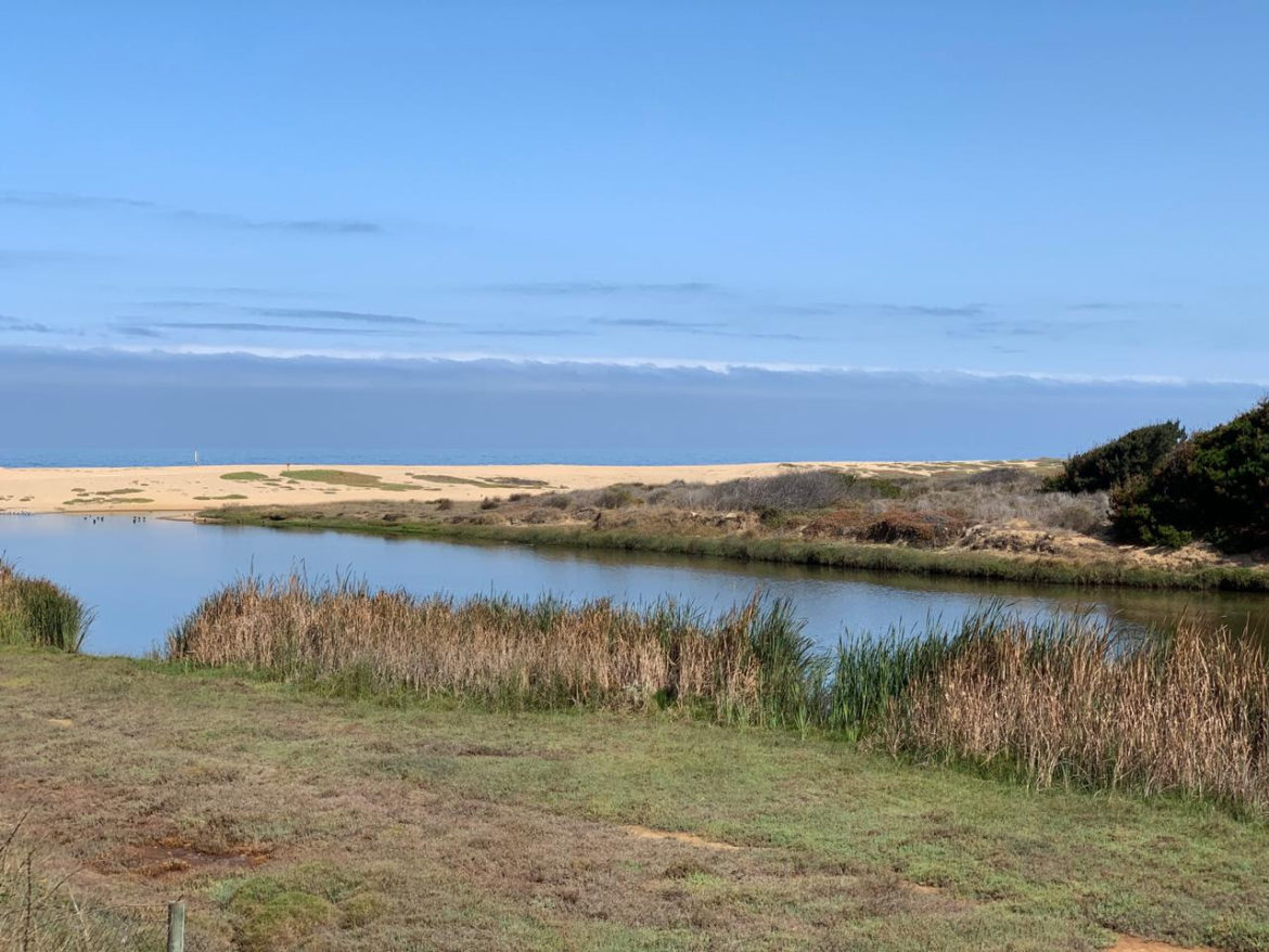 Entró en vigencia la Ley de Humedales Urbanos