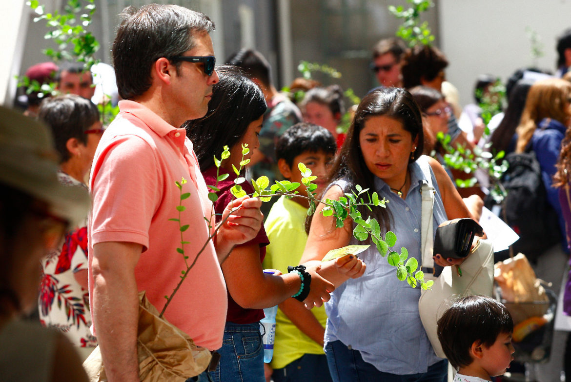En marzo los curicanos se podrán inscribir para la segunda entrega de árboles que realizará el municipio