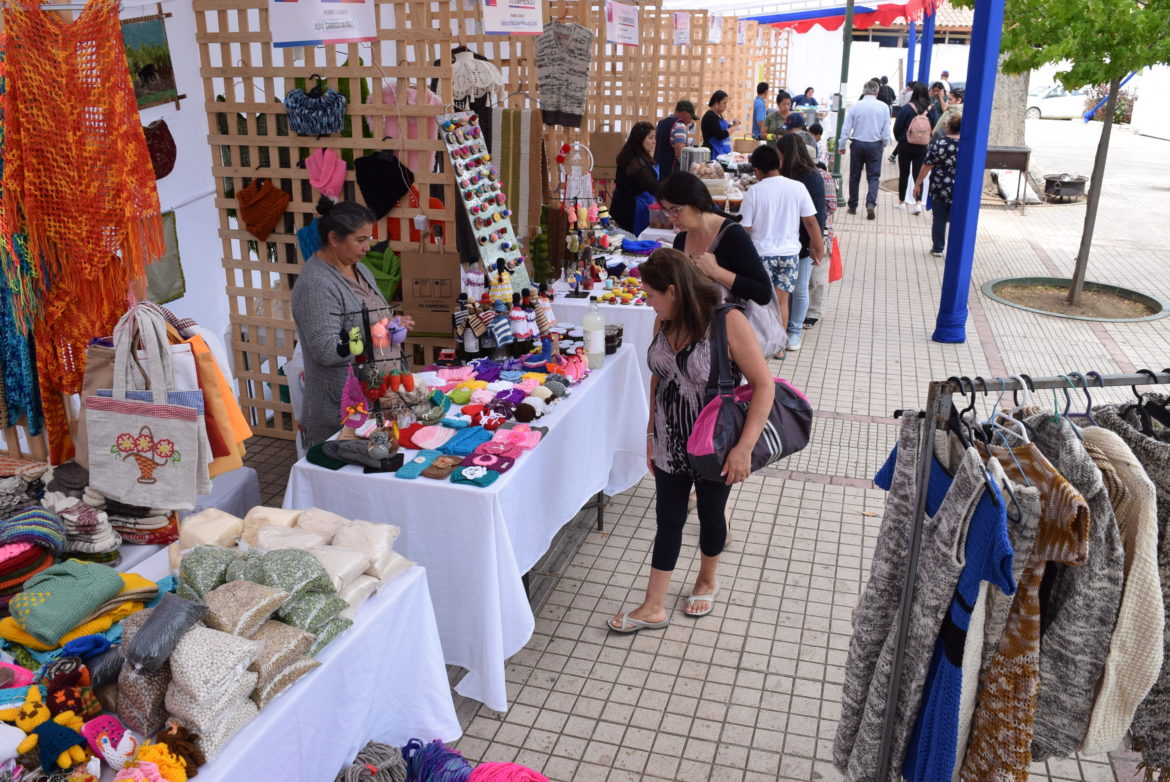 Éxito total: Más de 2 mil personas visitaron el fin de semana la Expo FOSIS en Chanco