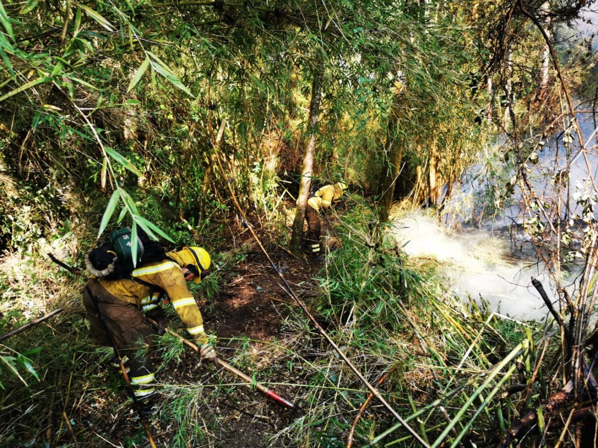 Alerta roja se amplía a Curicó y Molina por incendio “Agua Fría”