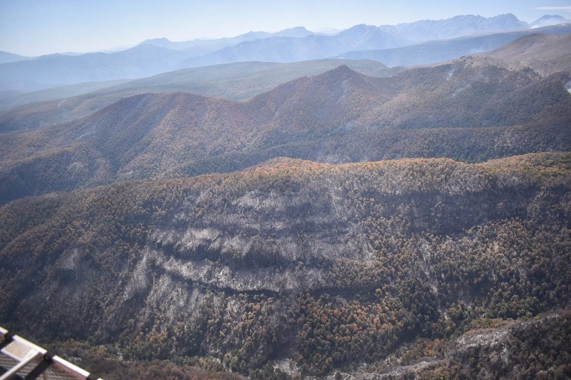 Incendio forestal “Agua Fría” en Molina estaría contenido y próximo a ser controlado
