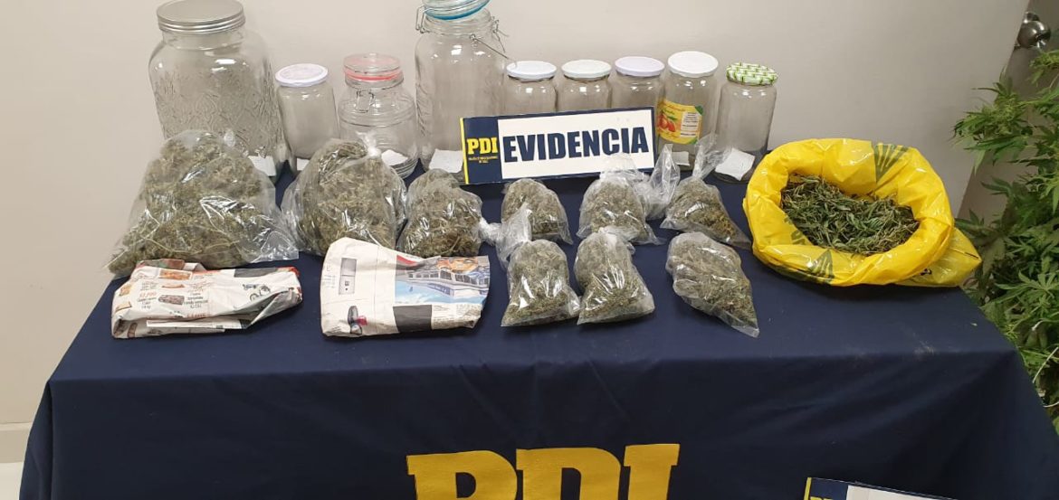 PDI detiene a sujeto por el delito de microtráfico de drogas en la comuna de Maule 