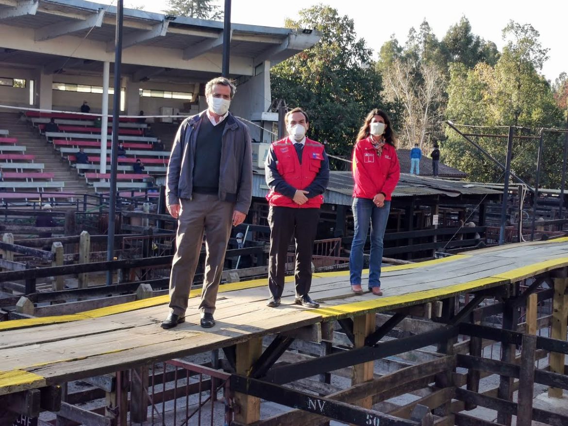 Anuncian que Feria de los Agricultores de Talca reinicia sus actividades