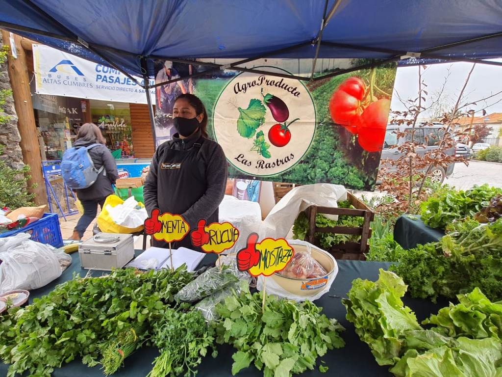 ¿Cuál es tu fruta y verdura preferida? Llaman a votar por mejor “dúo saludable” del Maule