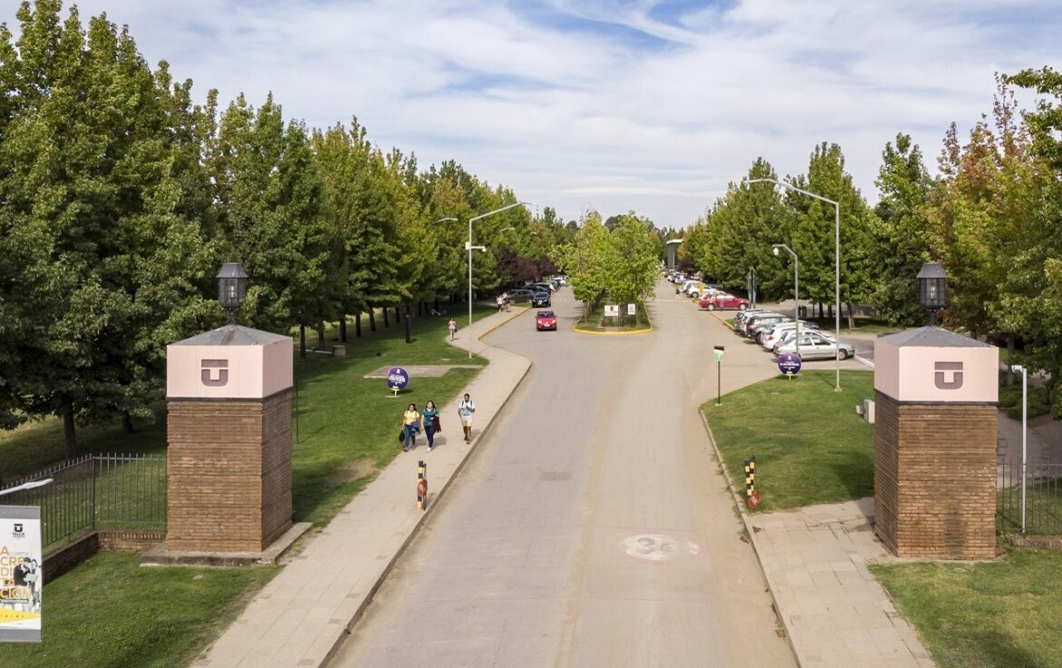 Universidad de Talca abre las postulaciones para cursar el Magíster en Educación Basada en Competencias