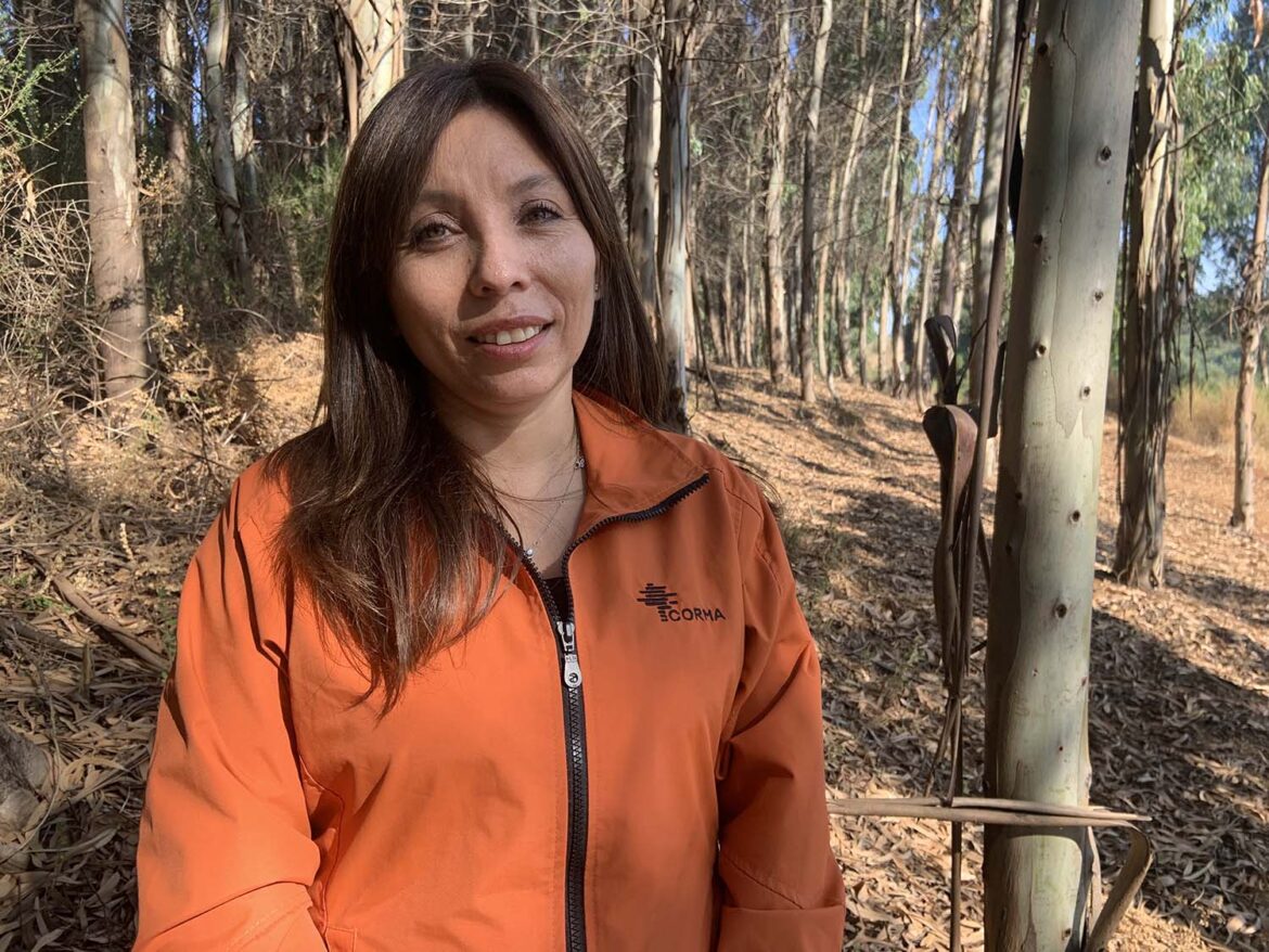 Las mujeres que lideran la prevención y combate de incendios rurales en el país