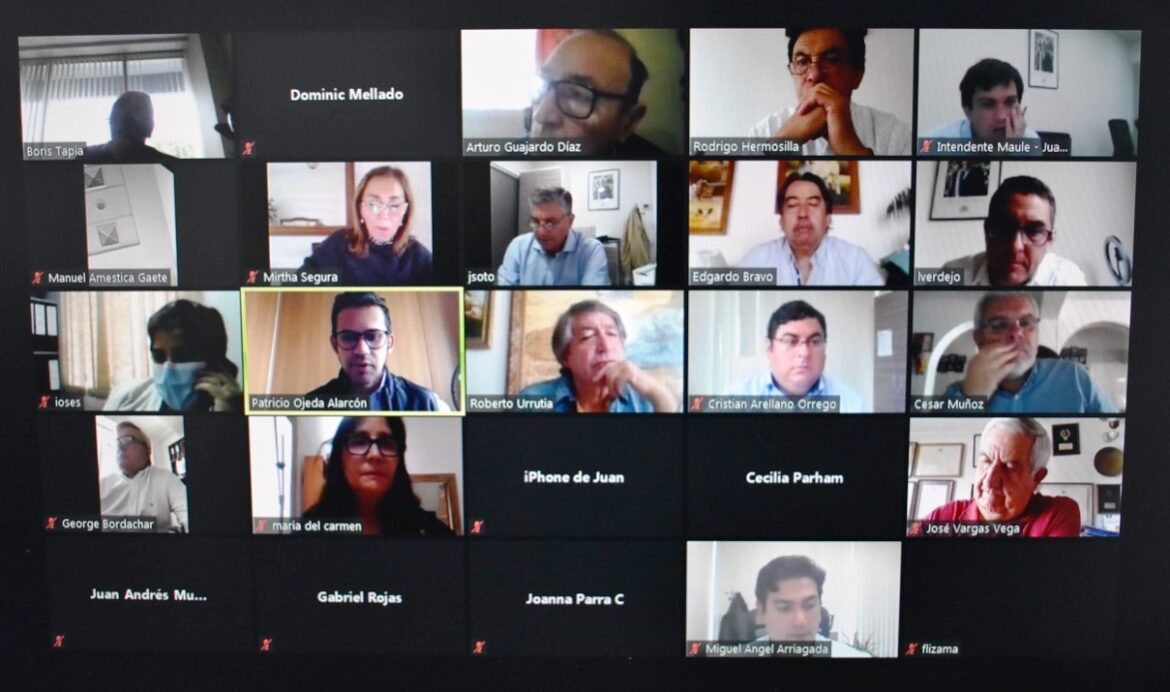 Consejo Regional aprobó de forma unánime mil millones de pesos para agricultores afectados por sistema frontal