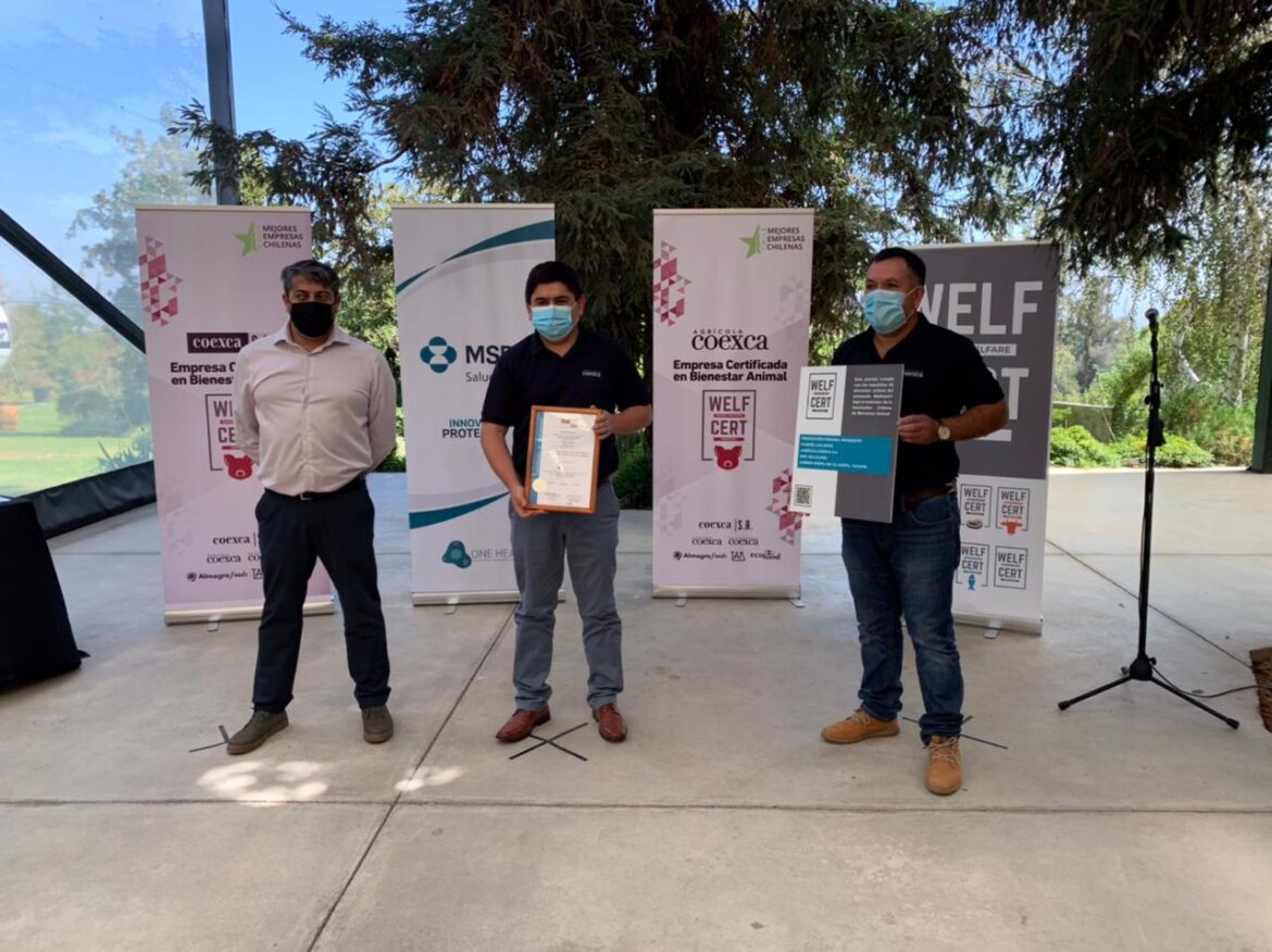 Empresas Coexca S.A. y su subsidiaria Agrícola recibieron certificación en Bienestar Animal