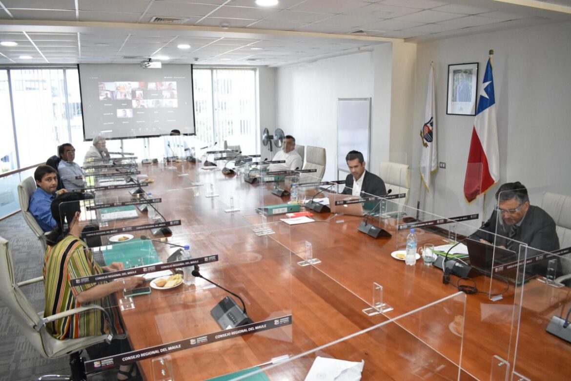 CORE aprobó mil millones de pesos para reactivar la economía del Maule