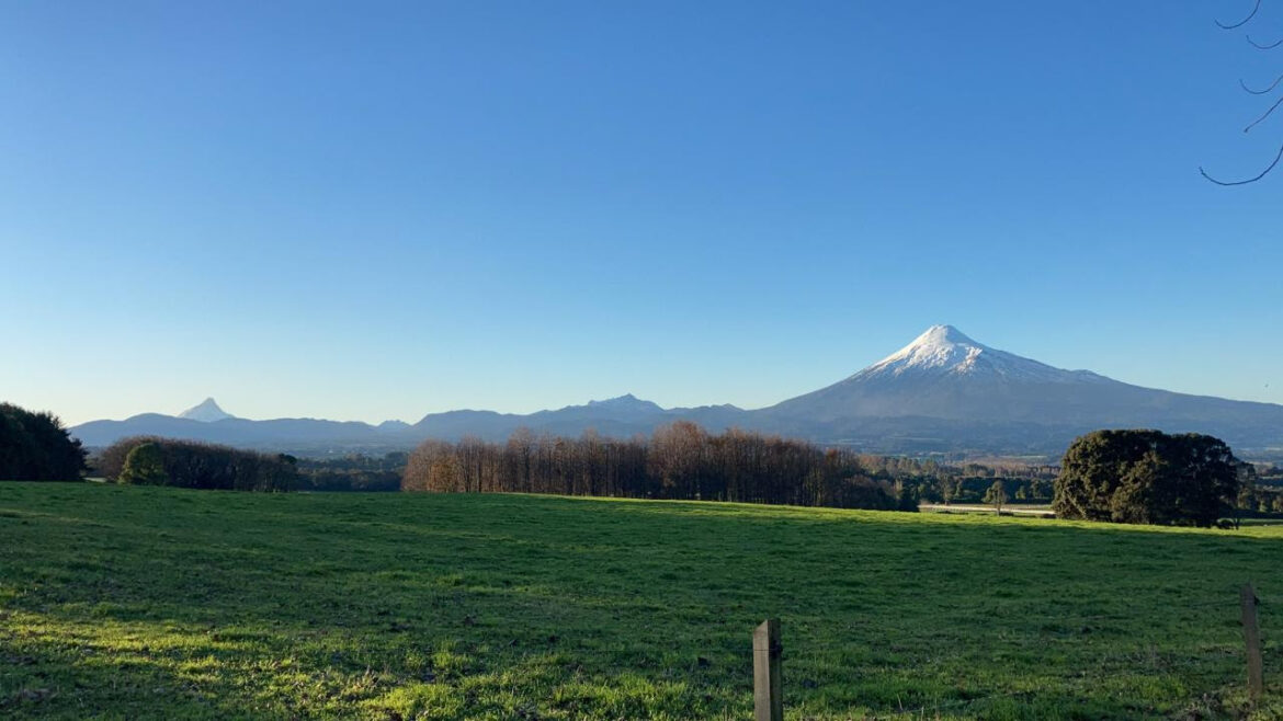 Se publicó en el Diario Oficial creación del Santuario de la Naturaleza Los Maitenes de Río Claro