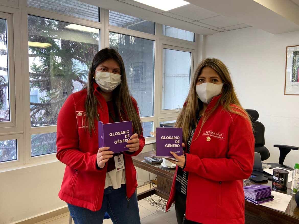 Directora Regional de PRODEMU realiza visita protocolar a primera mujer en asumir como Seremi de MOP en la región