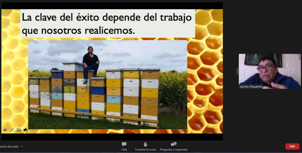 Mesa Apícola del Maule hizo balance de trabajo 2021 destacando reforestación nativa