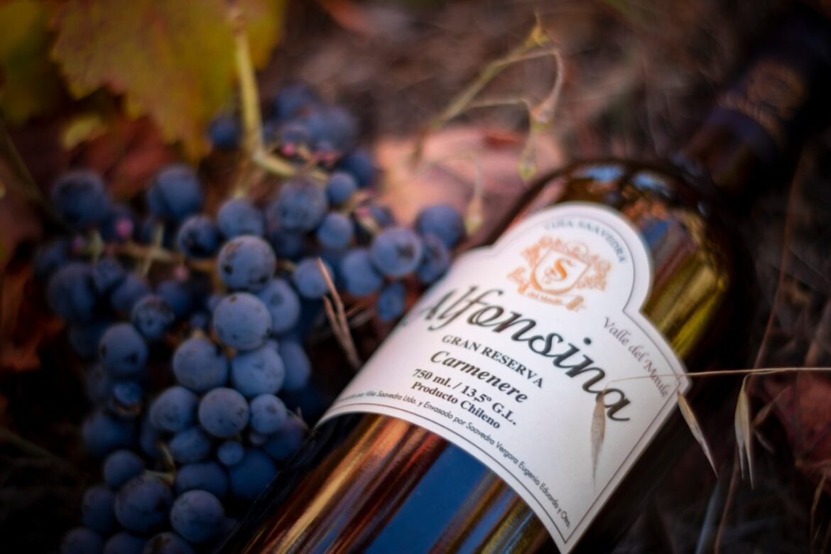 Estudiantes de diseño de la UTalca crearán nuevas etiquetas para tres viñas de San Javier