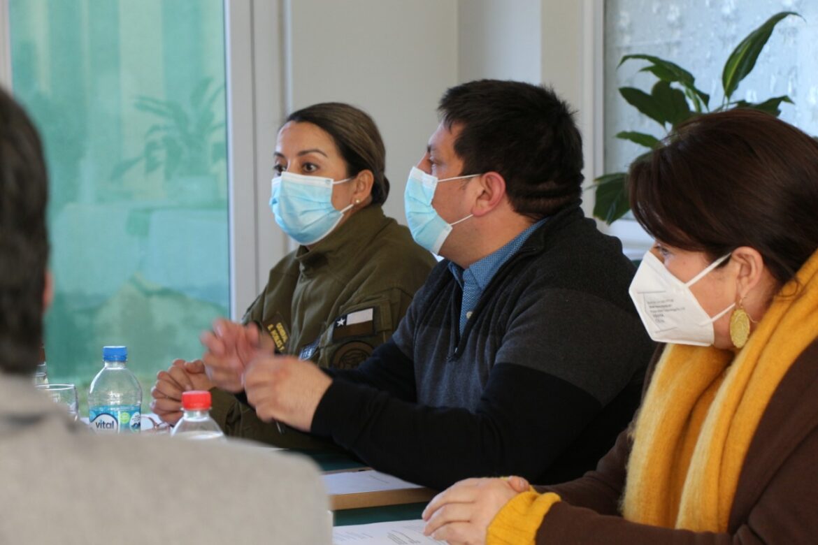 Autoridades revisan medidas aplicadas en sector cordillerano del Maule