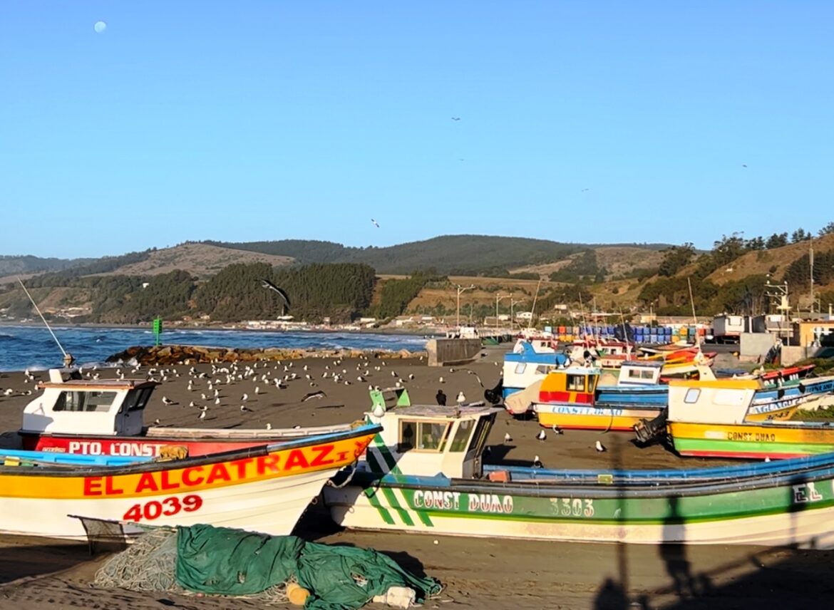 Invitan a recorrer la región y disfrutar la naturaleza este verano