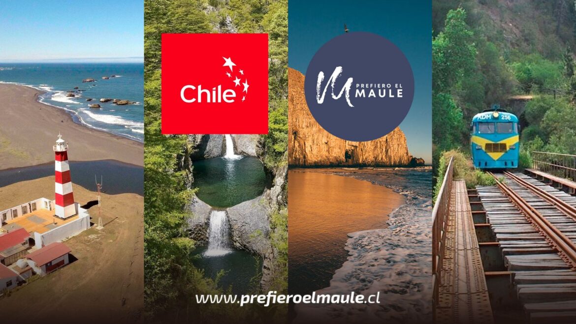 Prefiero el Maule y Marca País Chile desarrollaron charla para emprendedores maulinos