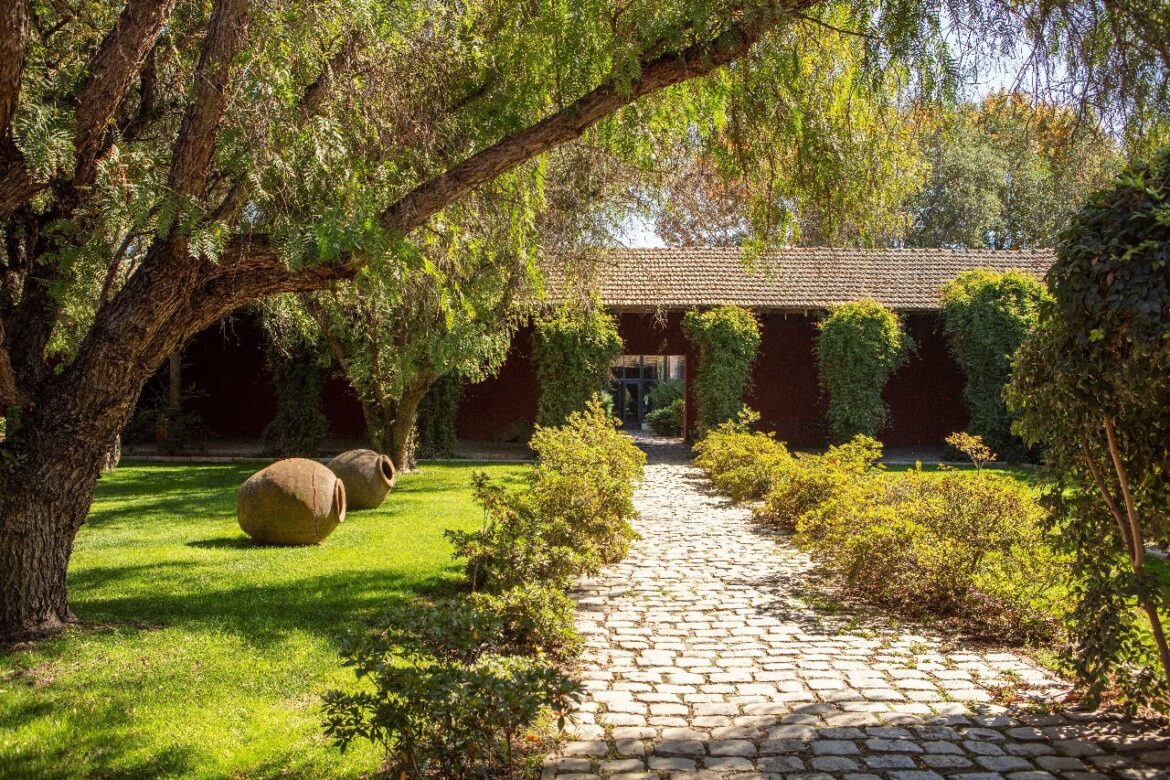 Expo Gourmet en Viña Terranoble